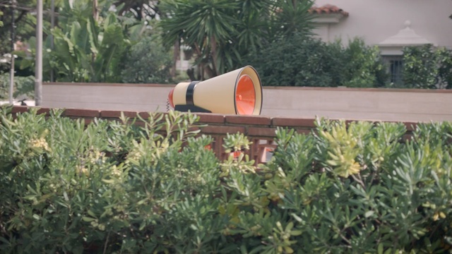 Video Reference: plant, tree, grass, garden, outdoor structure, shrub, recreation