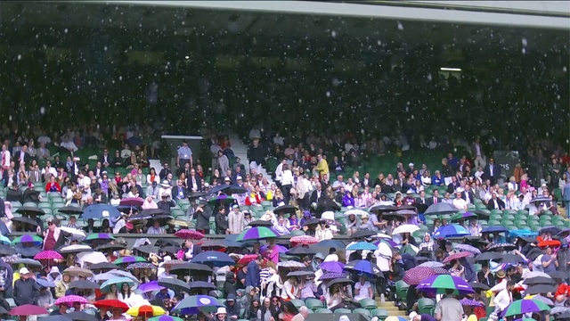 Video Reference: Crowd, People, Audience, Event, Fan