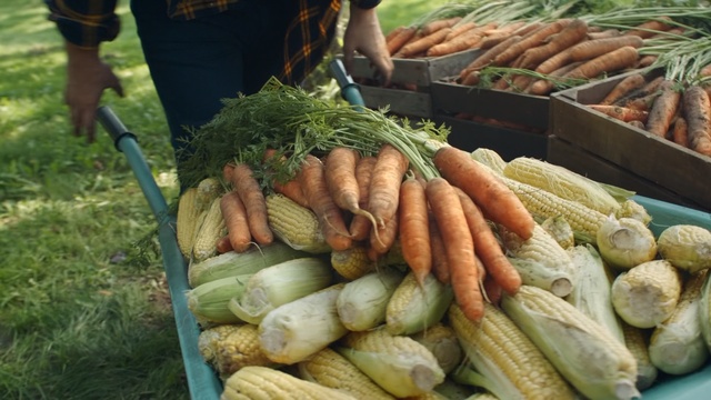 Video Reference: Local food, Vegetable, Food, Natural foods, Plant, Produce, Vegetarian food, Vegan nutrition, Root vegetable, Whole food