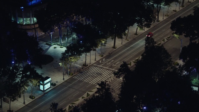 Video Reference: Night, Sky, Light, Tree, Lighting, Urban area, Road, Street, Metropolitan area, Infrastructure, Person
