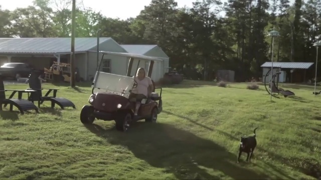 Video Reference: Vehicle, Mode of transport, Golf cart, Car, Lawn, Pasture, Backyard, Farm