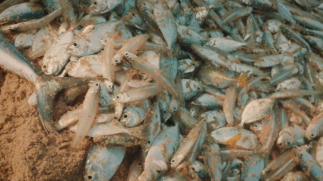 Video Reference: Scrap, Waste