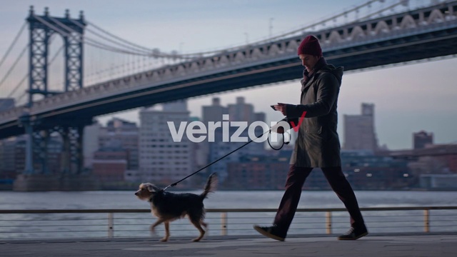 Video Reference: Dog, Canidae, Dog breed, Carnivore, Dog walking, Working dog, Leash, Rottweiler, Companion dog, Guard dog