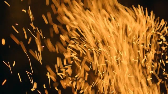 Video Reference: Grass, Grass, Plant