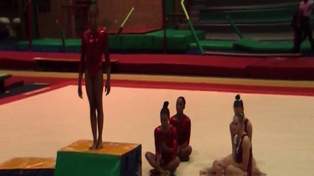 Video Reference: Acrobatics, Performance, Performing arts, Public event, Gymnastics, Artistic gymnastics, Art, Event, Performance art, Individual sports