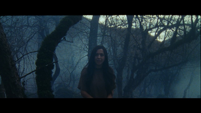 Video Reference: Nature, Tree, Forest, Natural environment, Atmospheric phenomenon, Branch, Darkness, Sky, Atmosphere, Woodland, Person