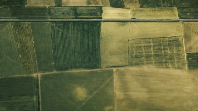 Video Reference: green, grass, wall, wood, floor