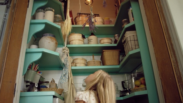 Video Reference: room, closet, furniture, product, shelf, interior design, shelving