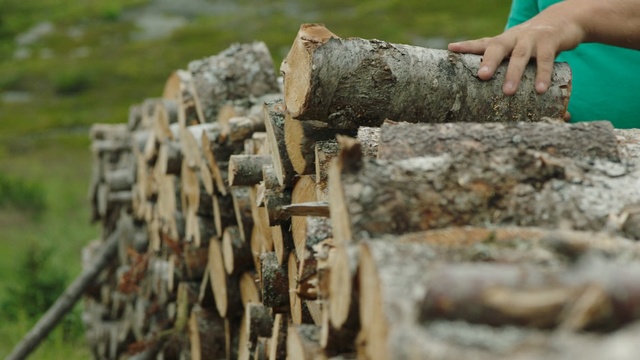 Video Reference: Wood, Stone wall, Wall, Grass, Rock