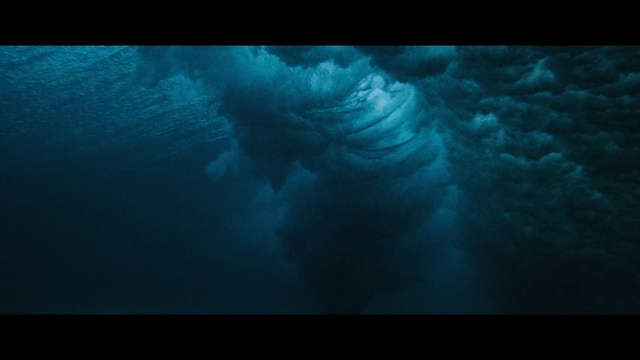 Video Reference: underwater, atmosphere, water, marine biology, organism, sea, ocean, sky, computer wallpaper, darkness