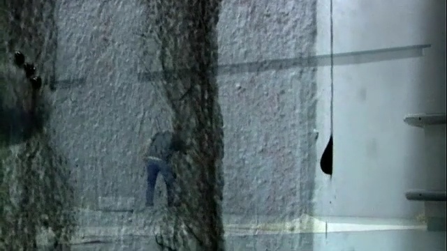 Video Reference: wall, tree, concrete, Person
