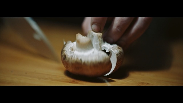 Video Reference: still life photography