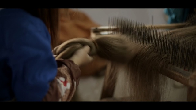 Video Reference: Hair, Hairstyle, Human, Long hair, Horse, Mane, Hair coloring, Eyelash, Horse grooming, Hair accessory