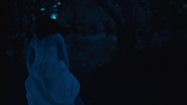 Video Reference: Blue, Black, Darkness, Sky, Light, Night, Atmosphere, Electric blue, Tree, Photography
