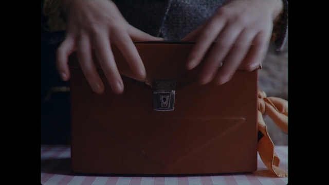 Video Reference: Bag, Handbag, Leather, Brown, Fashion accessory, Tan, Material property, Luggage and bags, Textile, Wallet