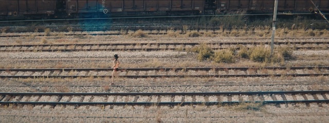 Video Reference: track, grass family, grass, wood