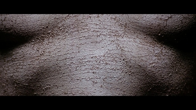 Video Reference: black, photograph, atmosphere, darkness, close up, photography, snout, black and white, stock photography, macro photography