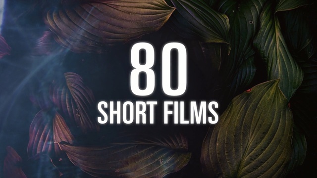 Video Reference: Hair, Text, Font, Graphic design, Graphics, Logo, Hair coloring, Brand, Person