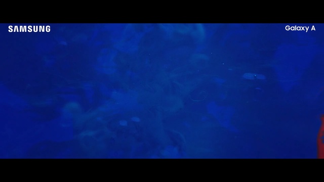 Video Reference: Blue, Cobalt blue, Atmosphere, Electric blue, Violet, Sky, Azure, Purple, Marine biology, Text