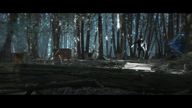 Video Reference: Woodland, Tree, Nature, Forest, Natural environment, Biome, Old-growth forest, Darkness, Light, Temperate coniferous forest