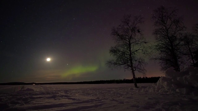 Video Reference: Sky, Aurora, Nature, Atmospheric phenomenon, Atmosphere, Freezing, Winter, Night, Tree, Landscape