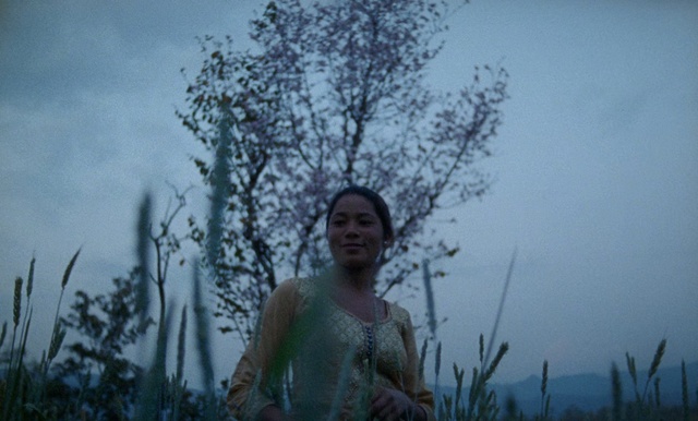 Video Reference: Nature, Atmospheric phenomenon, Tree, Grass family, Sky, Adaptation, Human, Fun, Plant, Photography