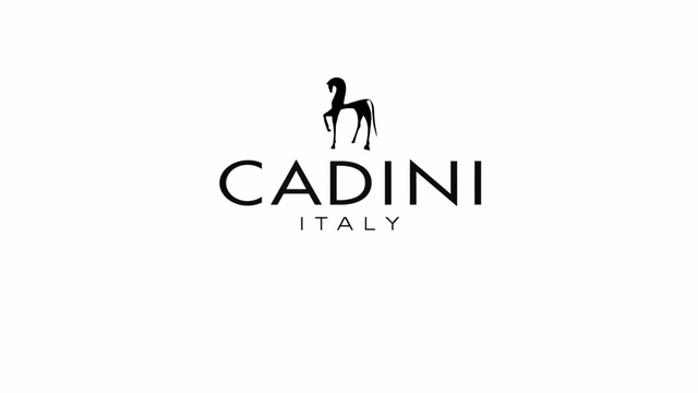 Video Reference: Logo, Text, Font, Brand, Graphics, Artwork, Black-and-white, Graphic design, Person