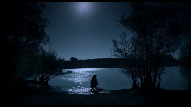 Video Reference: Sky, Darkness, Nature, Water, Black, Blue, Night, Light, Moonlight, Tree