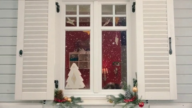 Video Reference: Home, Window, Property, Door, Window covering, Interior design, Home door, Real estate, Tree, House