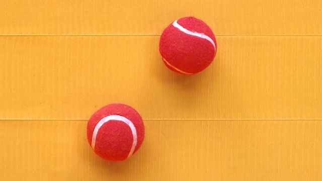 Video Reference: Ball, Games, Boccia, Lacrosse ball, Sports equipment, Recreation, Soccer ball, Ball, Circle, Play, Person