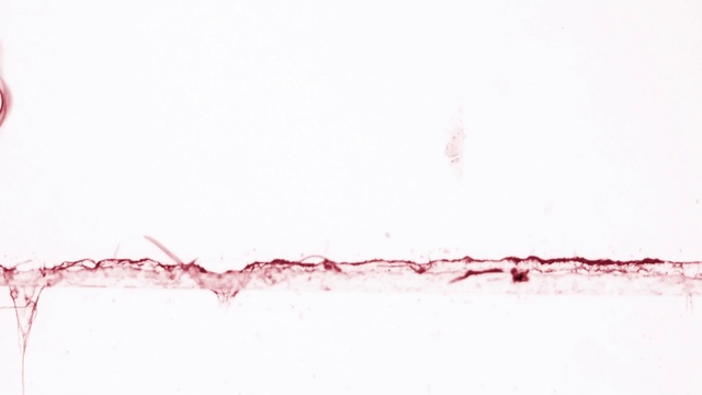 Video Reference: Pink, Red, Text, Line, Person