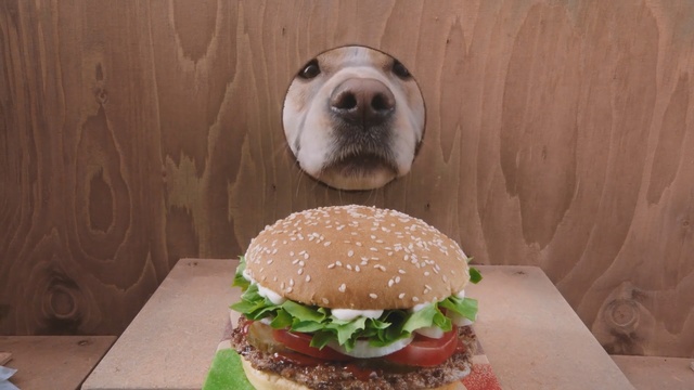 Video Reference: Hamburger, Food, Fast food, Whopper, Veggie burger, Dish, Junk food, Cheeseburger, Cuisine, Pan-bagnat