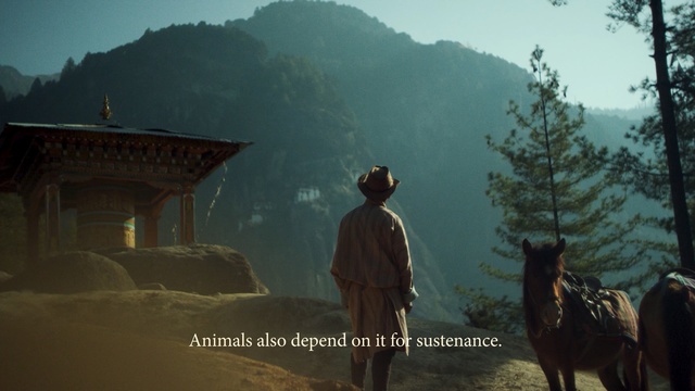 Video Reference: sky, mountain, tree, screenshot, hill station, landscape, plant, hill, Person