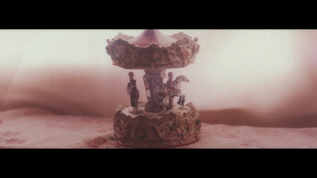 Video Reference: toy, close up, carousel, old