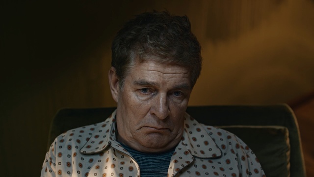 Video Reference: person, human, portrait