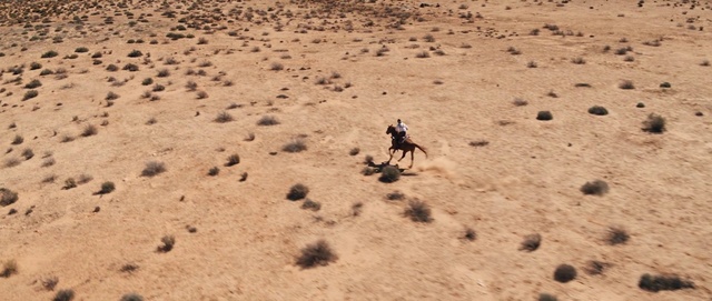 Video Reference: Sand, Natural environment, Soil, Landscape, Desert, Sahara, Fawn, Aeolian landform