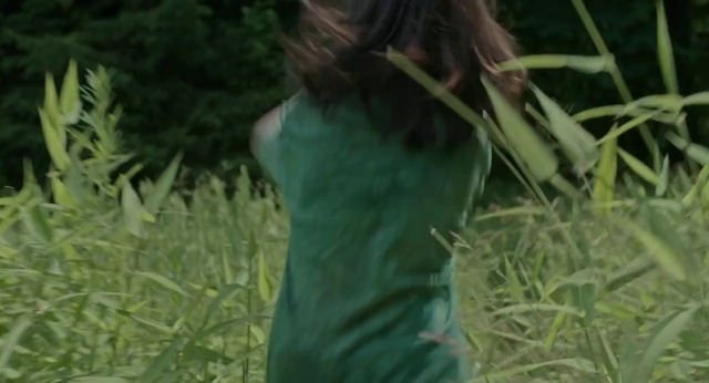 Video Reference: People in nature, Nature, Green, Vegetation, Jungle, Grass, Leaf, Natural environment, Grass family, Plant
