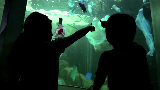 Video Reference: Ice cave, Organism, Aquarium, Glacial landform, Cave, Marine biology, Underwater, World