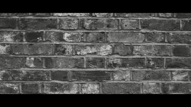 Video Reference: brickwork, wall, brick, black and white, stone wall, monochrome photography, monochrome, material, bricklayer