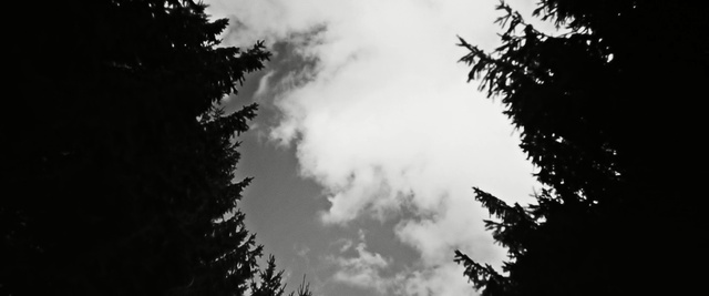 Video Reference: sky, cloud, white, black, nature, black and white, monochrome photography, tree, woody plant, atmosphere