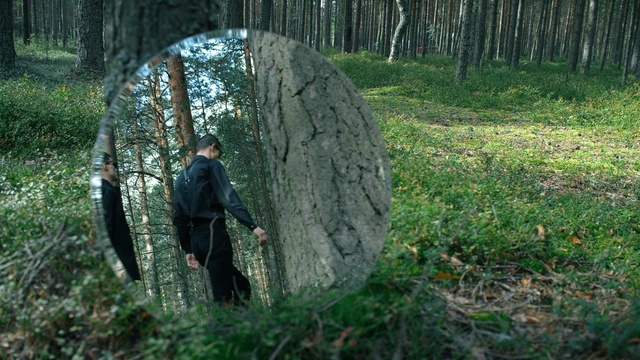 Video Reference: tree, woody plant, forest, nature reserve, woodland, grass, old growth forest, plant, biome, jungle, Person