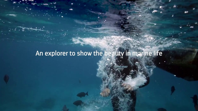 Video Reference: Water, Underwater, Organism, Marine biology, Ocean, Font, Sea, Photography, Recreation, World