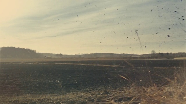 Video Reference: Sky, Ecoregion, Plain, Grass, Landscape, Soil, Horizon, Cloud