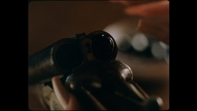 Video Reference: weapon, firearm, gun, gunshot, rifle, arm, darkness, hand, revolver, shotgun