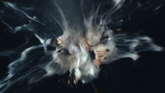 Video Reference: close up, whiskers, organism, darkness, computer wallpaper, snout, sky, smoke, space