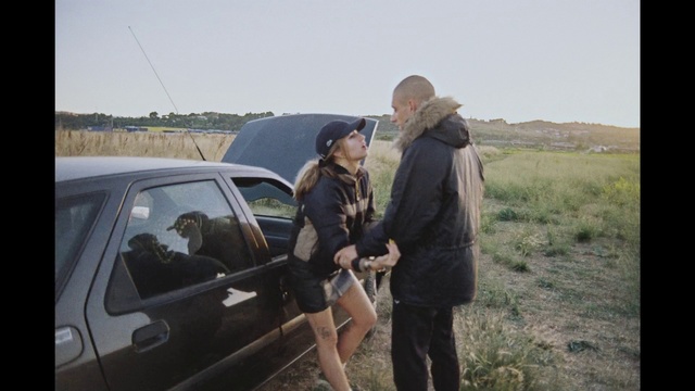 Video Reference: Vehicle, Vehicle door, Car, Automotive exterior, Tree, Plant, Road, City car