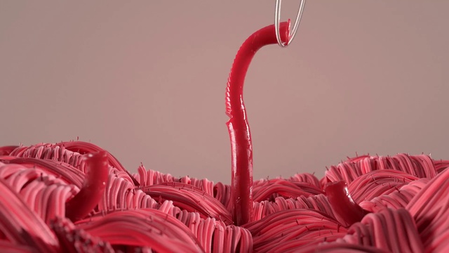 Video Reference: Red, Pink, Close-up, Water bird, Plant, Flower