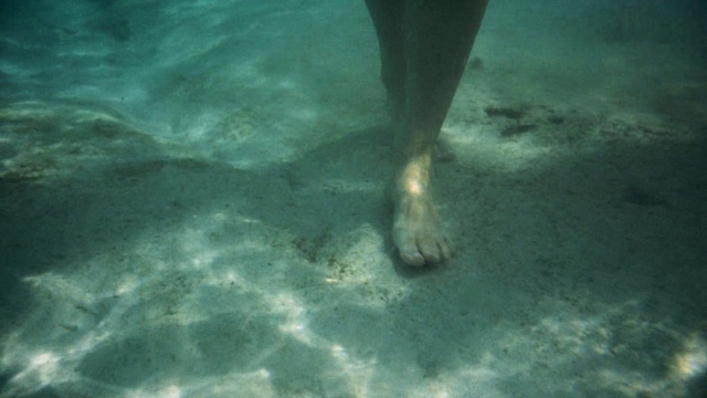 Video Reference: Aqua, Water, Underwater, Green, Turquoise, Leg, Foot, Barefoot, Sea, Human leg