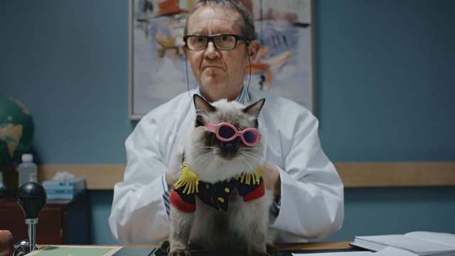 Video Reference: mammal, vertebrate, dog, dog like mammal, glasses, vision care, carnivoran, snout, product, Person