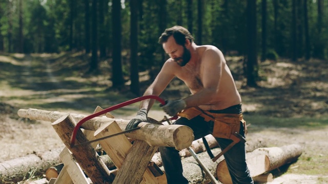 Video Reference: Wood chopping, Barechested, Wood, Vehicle, Tree, Lumberjack, Chainsaw